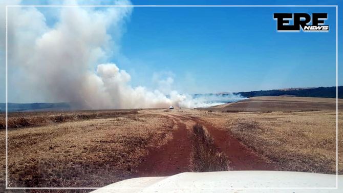 Sertão: Incêndio em lavoura de Cevada - FONTE: Planalto News