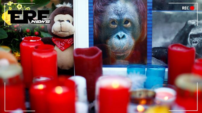 Fotos e velas deixados na frente do zoológico que pegou fogo, em 1 de janeiro de 2020 — Foto: Thilo Schmuelgen/Reuters